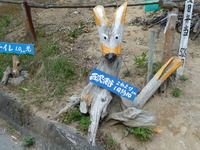 西沢渓谷で森林セラピー 2009/09/28 15:08:52