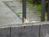 狙われてる！ 2010/05/22 13:10:15