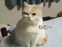 なんとなく 2010/01/05 22:31:34