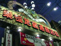 デトックス 2010/01/16 19:20:28