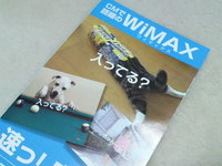 つっこむねこ 2010/02/17 10:42:36