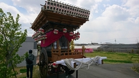 都田町　白昭サクラ祭り
