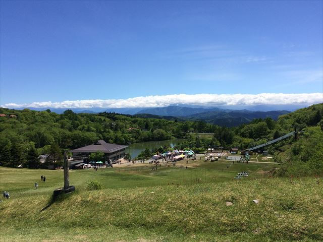 芝桜（茶臼山）