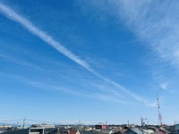 大平台Niziフェスタ全容近日公開！ 2021/02/18 08:52:46