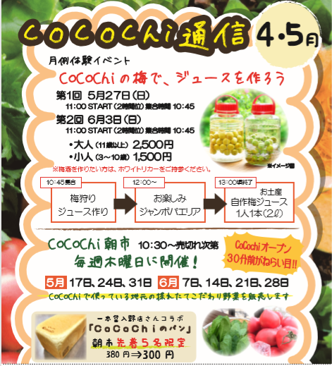 Cocochi通信