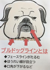 『たるみ肌』専用化粧品登場✨ 2021/12/04 16:22:56