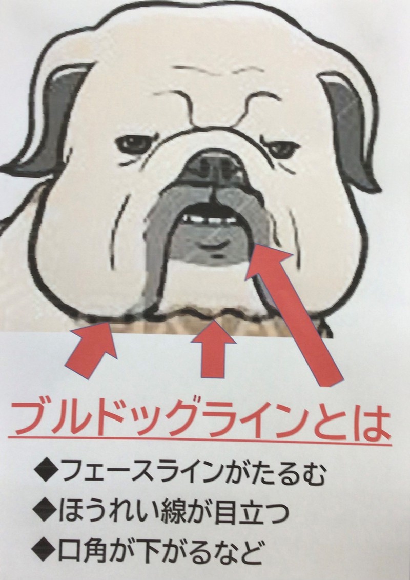 『たるみ肌』専用化粧品登場✨ 『たるみ肌』専用化粧品登場✨