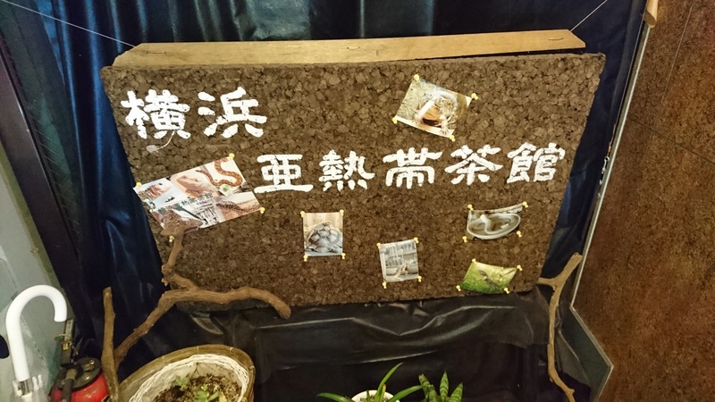 爬虫類と触れ合えるカフェ！？横浜亜熱帯茶館に行ってきました！