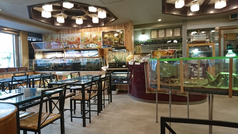 爬虫類と触れ合えるカフェ！？横浜亜熱帯茶館に行ってきました！
