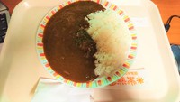 ネットカフェ 亜熱帯のカレーはボリューム満点だった！ 2017/04/27 22:41:45