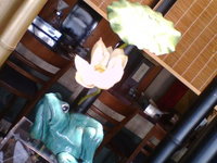 突然ですが… 2008/07/12 20:54:48