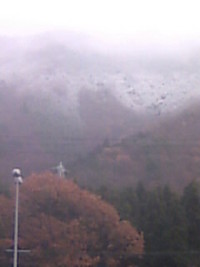 紅葉と雪