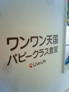 ワンワン天国パピークラス♪