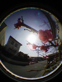 無題。 2007/02/21 23:52:05