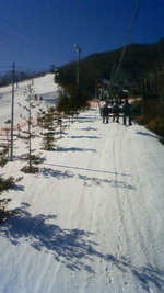 あららぎ 2010/02/21 11:26:35