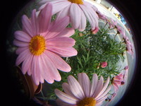 無題。 2007/01/23 21:00:00