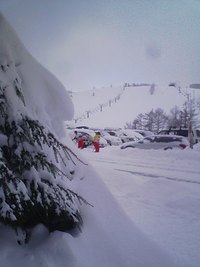 志賀高原 2008/01/02 08:57:44