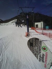 あららぎ 2008/03/16 09:46:26