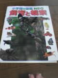 本をかってもらったよ 2006/05/05 12:01:00