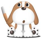 愛犬の鼻