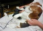 ゲームに夢中？！