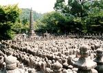 京都嵯峨野