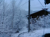 外は雪だった 2008/01/21 07:30:00