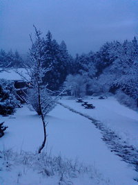 さあがんばって下山 2008/01/21 07:36:23