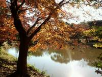 佐鳴湖公園 2014/12/09 09:43:06