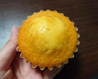 【袋井市高尾町】シンプルが美味しい！マドレーヌ屋ラウンドテーブルの「プレミアムマドレーヌ」が絶品！