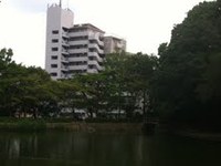 手軽にすぐ楽しめる森林浴 2013/09/07 18:50:59