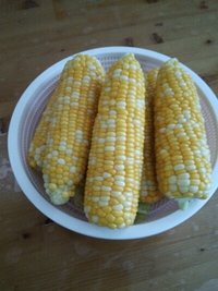 旬の物♪ 2015/06/04 17:52:55