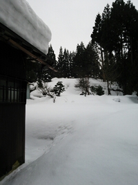 雪☃雪☃ 2014/12/30 16:16:29