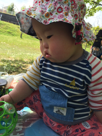 署名活動 2015/05/03 14:35:00