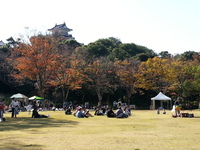 浜松城公園のイベントに出店