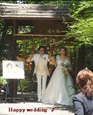 Congratulations！