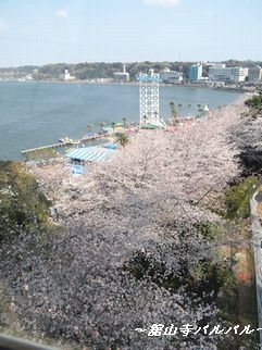 何足のわらじ？