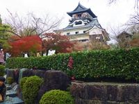 紅葉の時期の犬山城は最上階から見た秋色の景色が最高