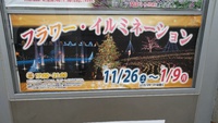 いよいよ11月26日から！はままつフラワーパークでイルミネーションがスタート！ 2016/11/22 11:02:40