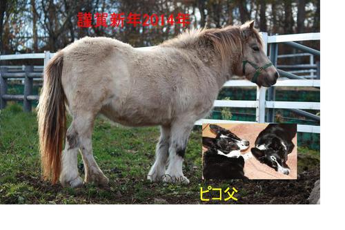 明けましておめでとうございます。