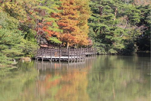浜北森林公園紅葉狩