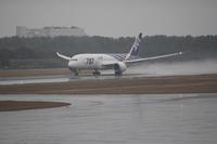 B787宮崎空港