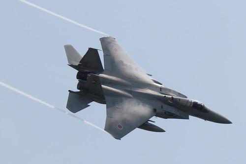 2013年静浜基地航空祭　F系