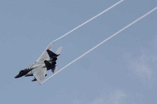 2013年静浜基地航空祭　F系