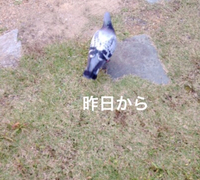 ☆どうした？…☆ 2015/10/15 15:38:31