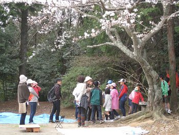 【特別協力】みんなでうさぎ山を楽しむ会