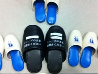 巨人の足跡・・・ 2012/09/13 08:59:07