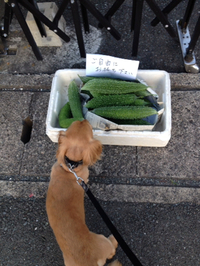 えっ！いいんですか？ 2014/08/18 23:56:36
