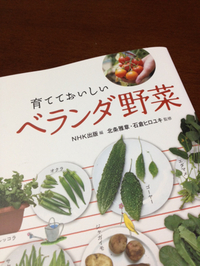 ベランダ野菜 2014/06/12 01:43:51