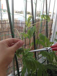 適芯 2014/06/01 22:41:28